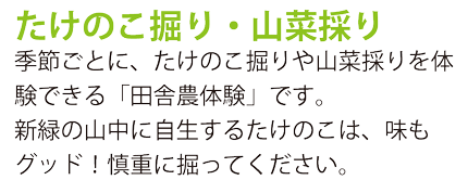 外海たけのこ掘り・山菜採り