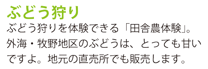 ぶどう狩り
