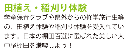 田植え・稲刈り体験